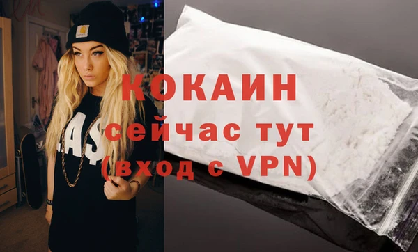 гашик Аркадак