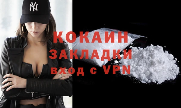 гашик Аркадак