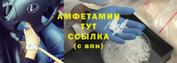 гашик Аркадак