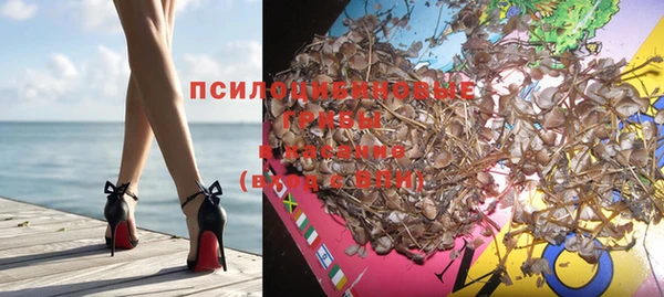 прущая мука Арсеньев