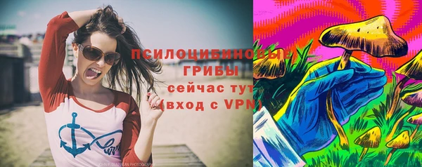гашик Аркадак