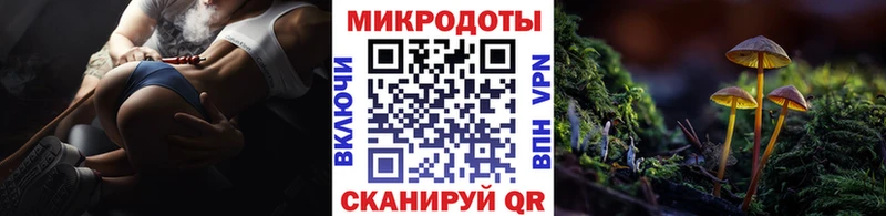 наркошоп  Томск  Псилоцибиновые грибы Cubensis 